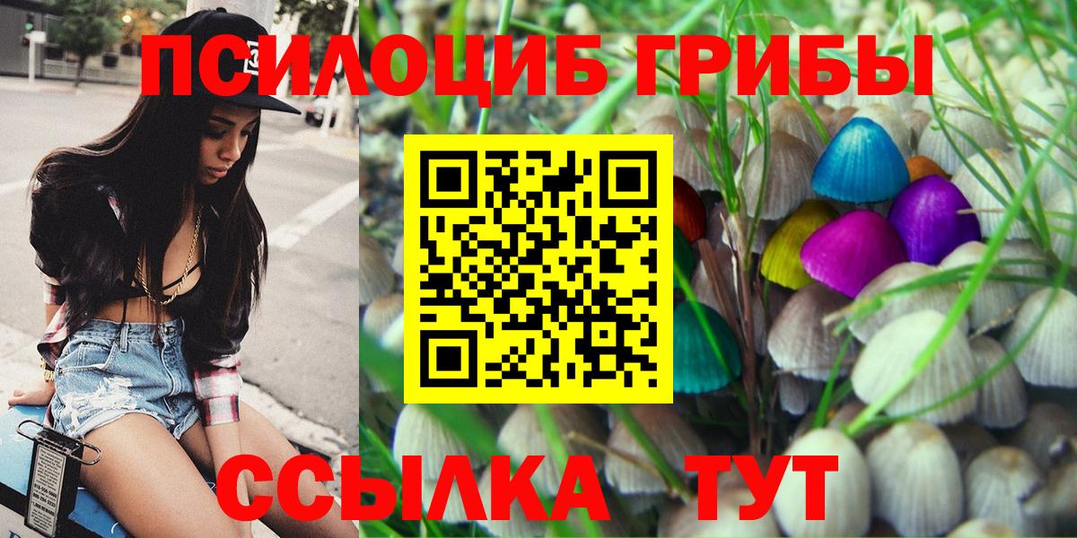 Гусь-Хрустальный  Галлюциногенные грибы Psilocybine cubensis  Вход с VPN 