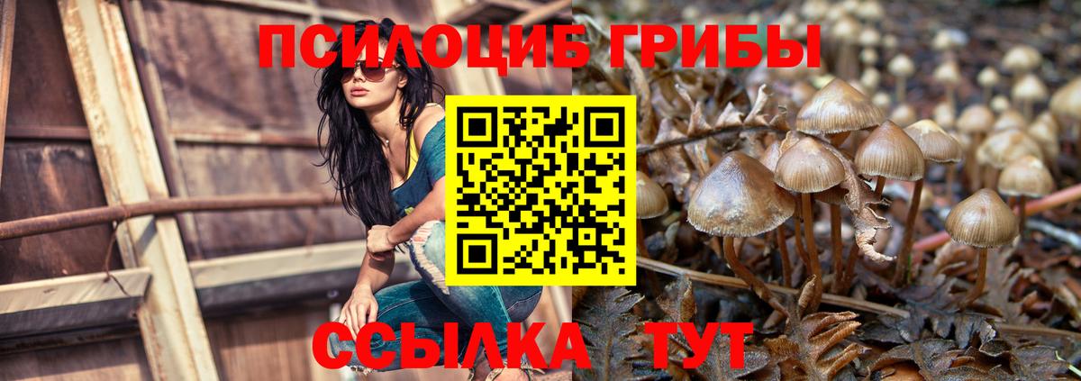 Галлюциногенные грибы мухоморы Гусь-Хрустальный
